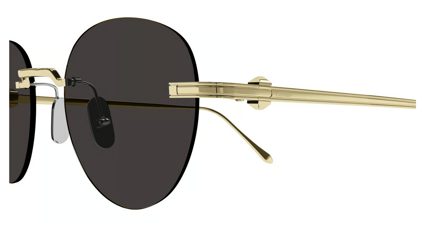 Cartier CT0331S Sunglasses