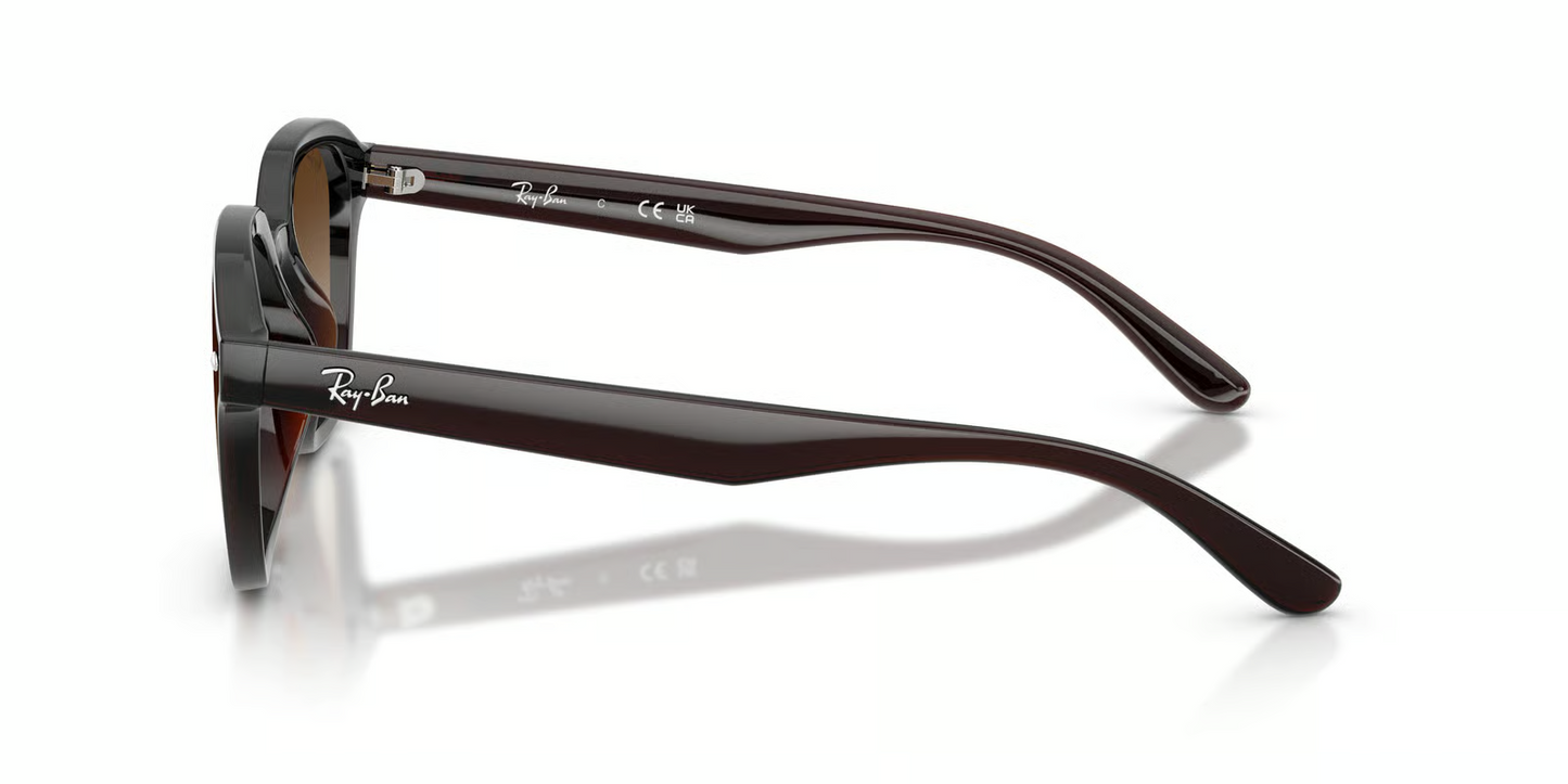 Ray-Ban RB4458D Sunglasses