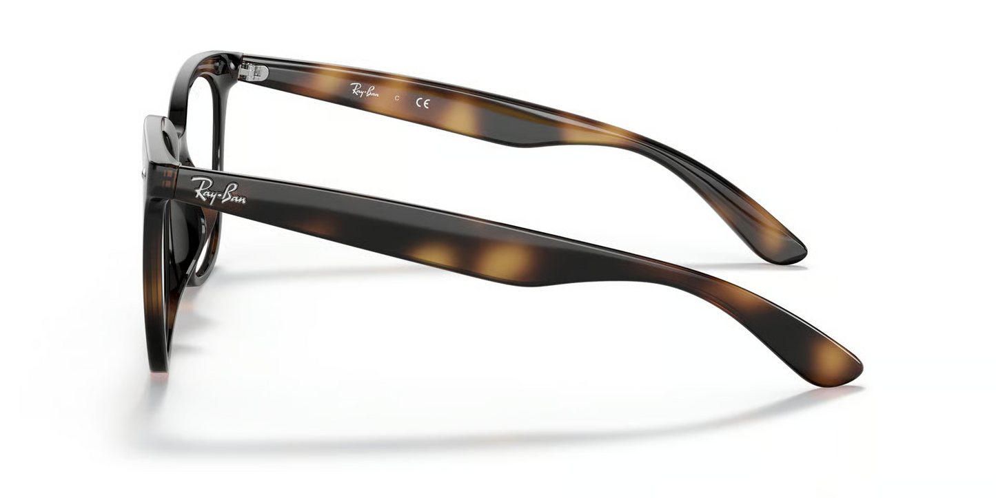Ray-Ban Optical RX4379VD Eyeglasses