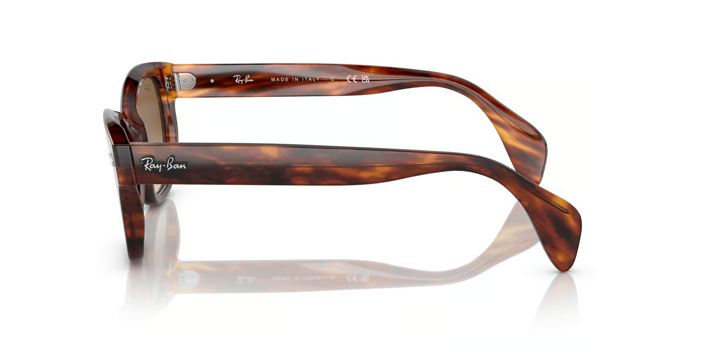 Ray-Ban RB0880S Sunglasses