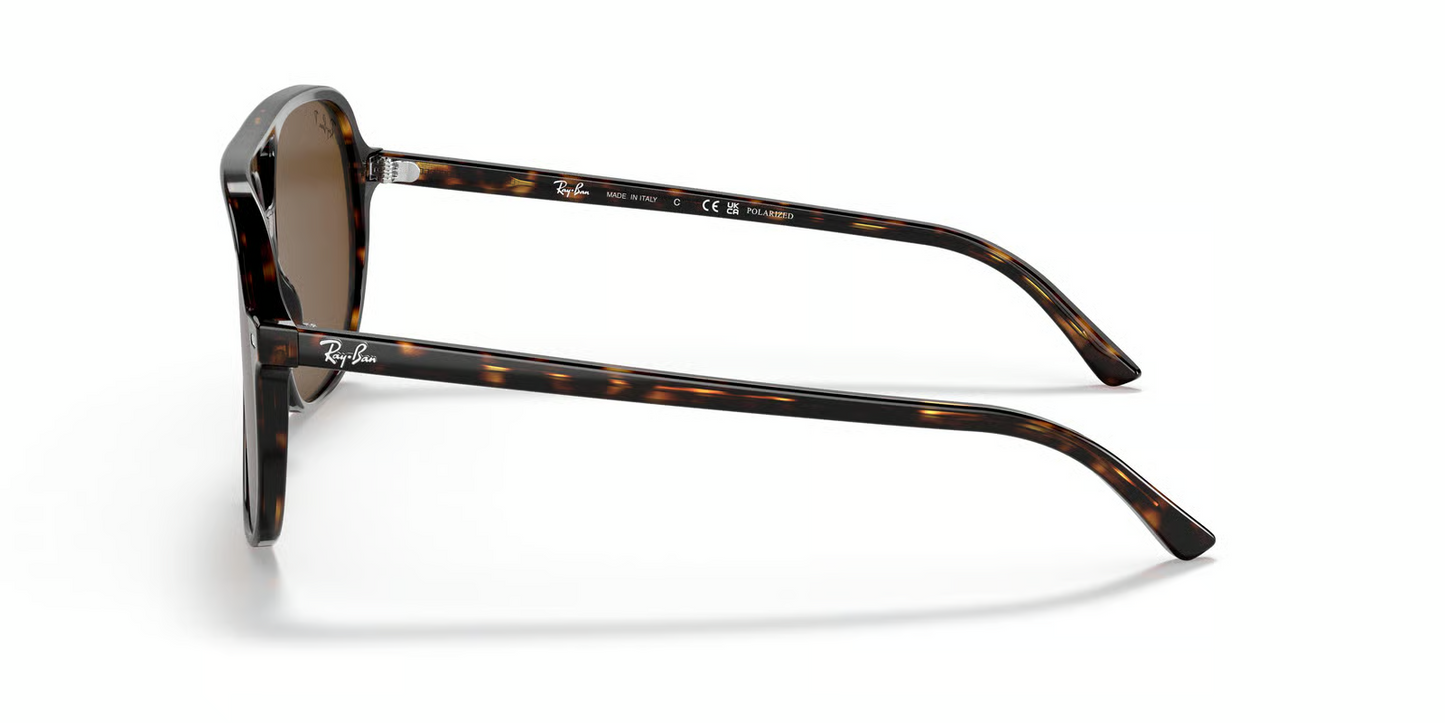 Ray-Ban RB2198 Bill Sunglasses