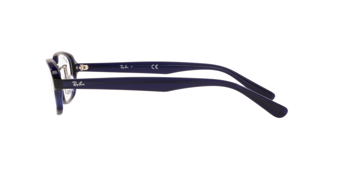 Ray-Ban Optical RX5385D Eyeglasses