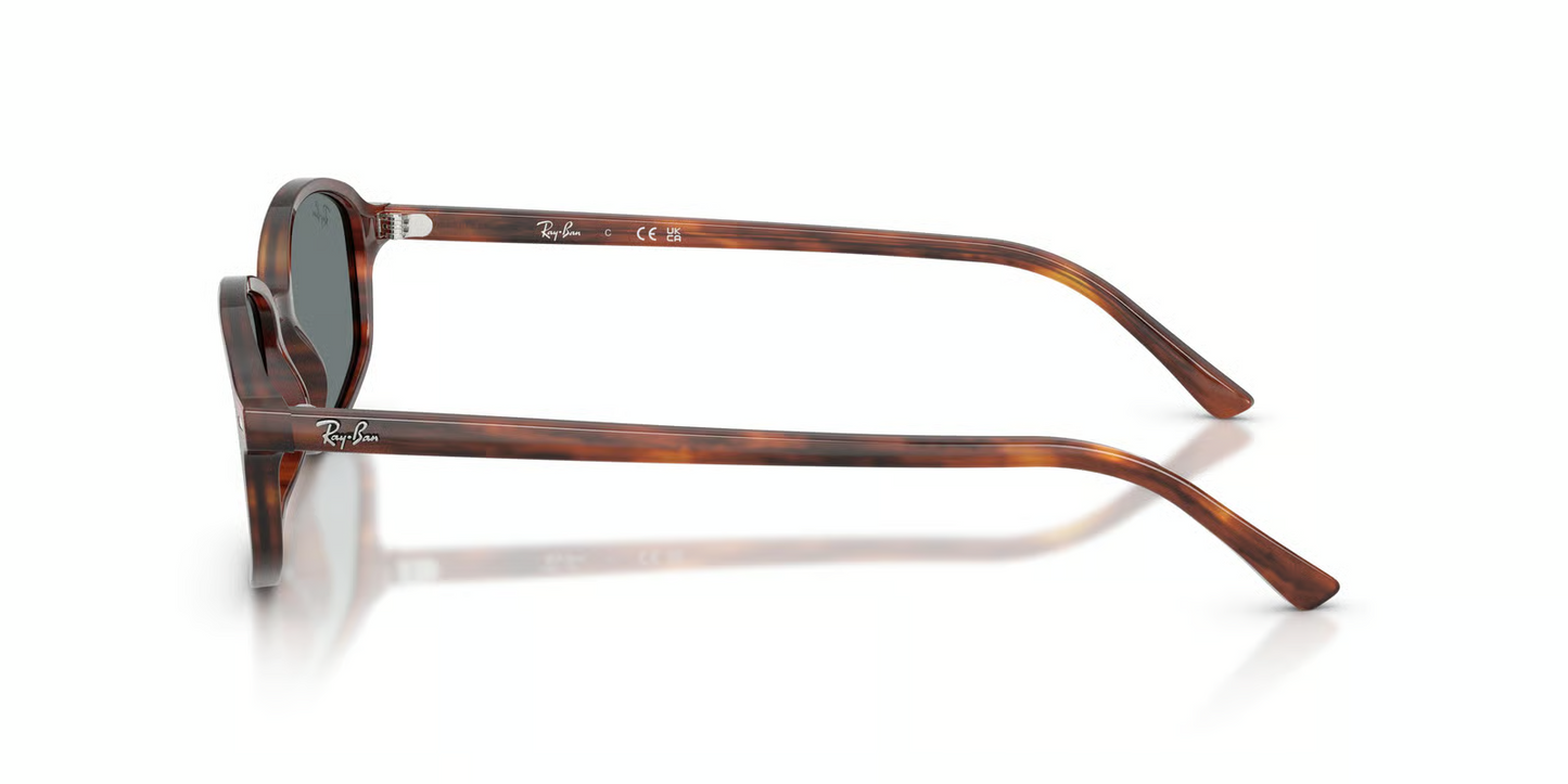 Ray-Ban RB2232F Sunglasses