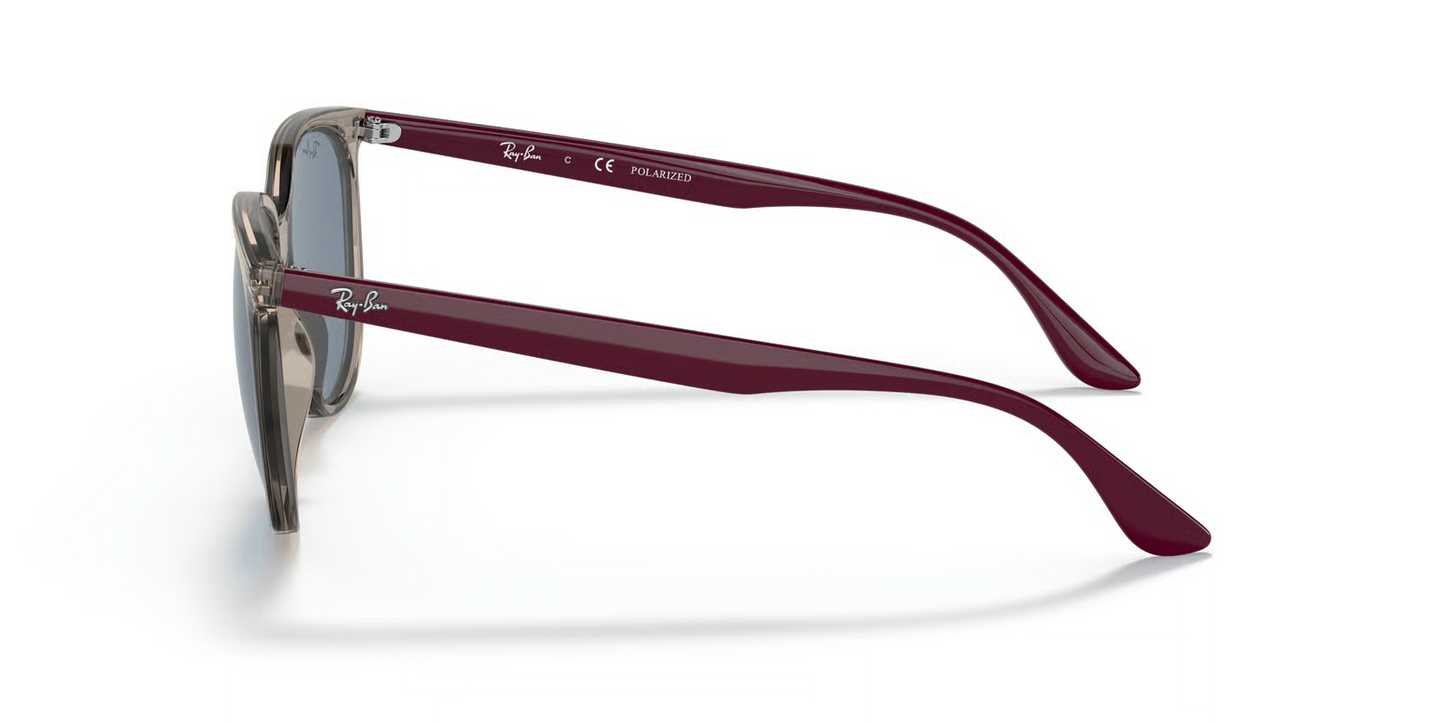 Ray-Ban RB4378 Sunglasses