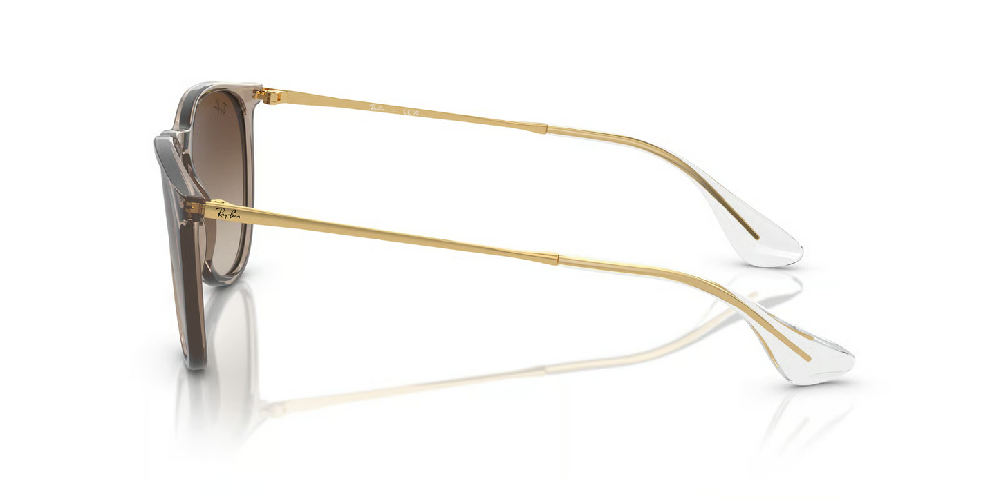 Ray-Ban RB4171 Erika Sunglasses