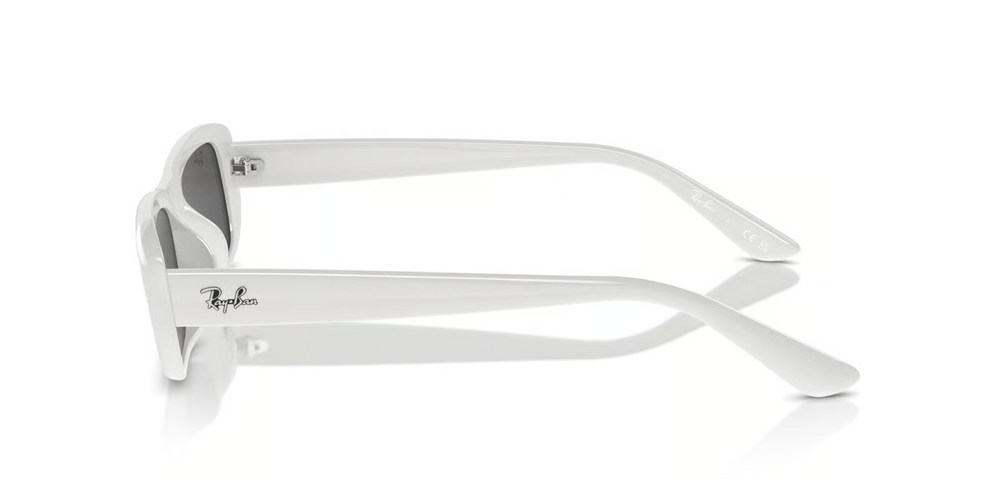 Ray-Ban RB4436D Sunglasses