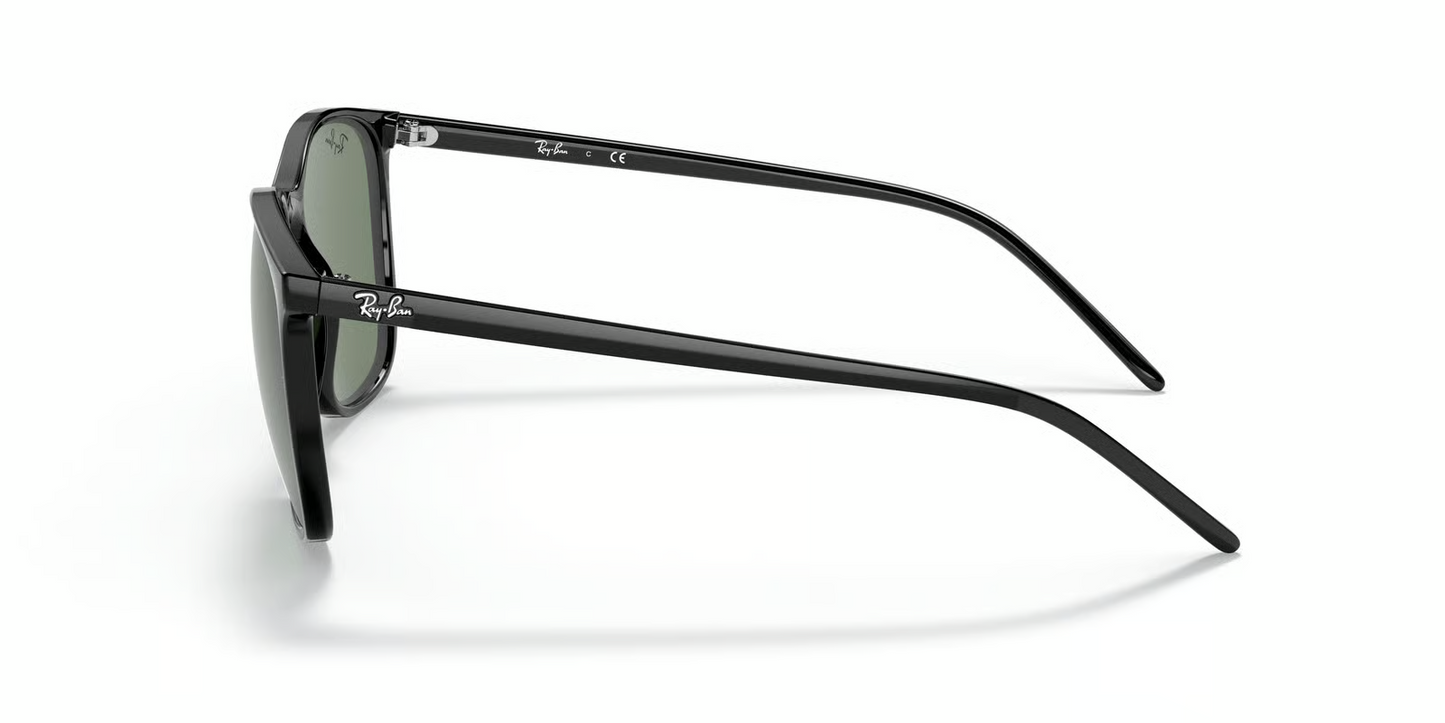 Ray-Ban RB4387F Sunglasses