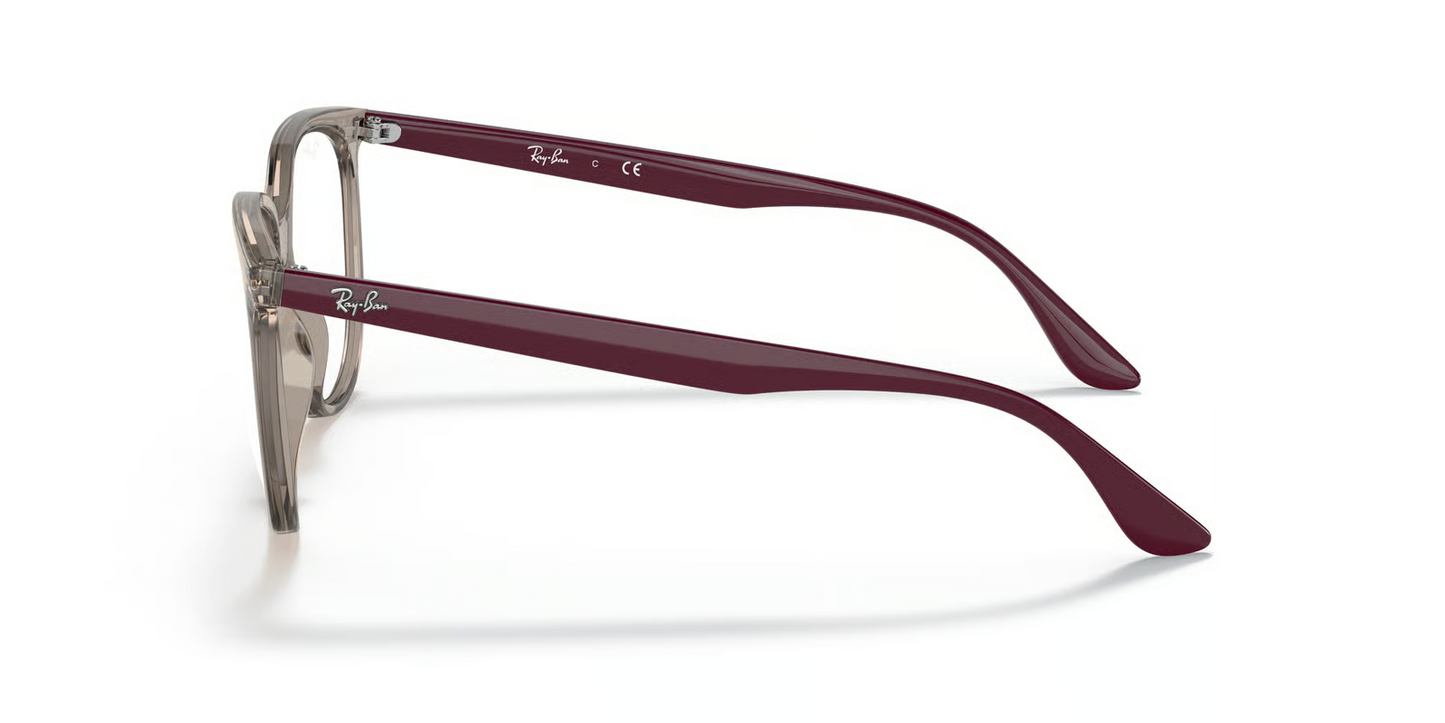 Ray-Ban Optical RX4378V Eyeglasses
