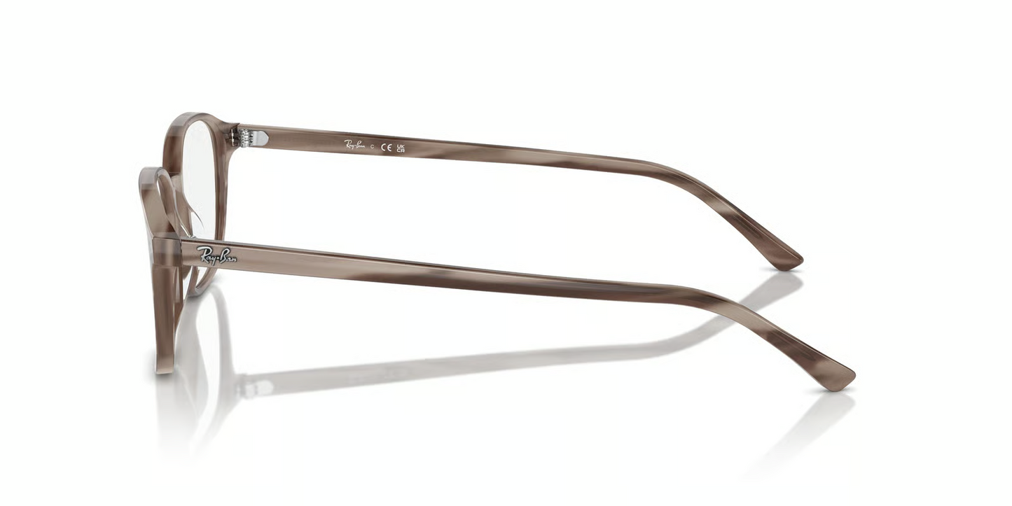 Ray-Ban Optical RX5393 Leonard Eyeglasses