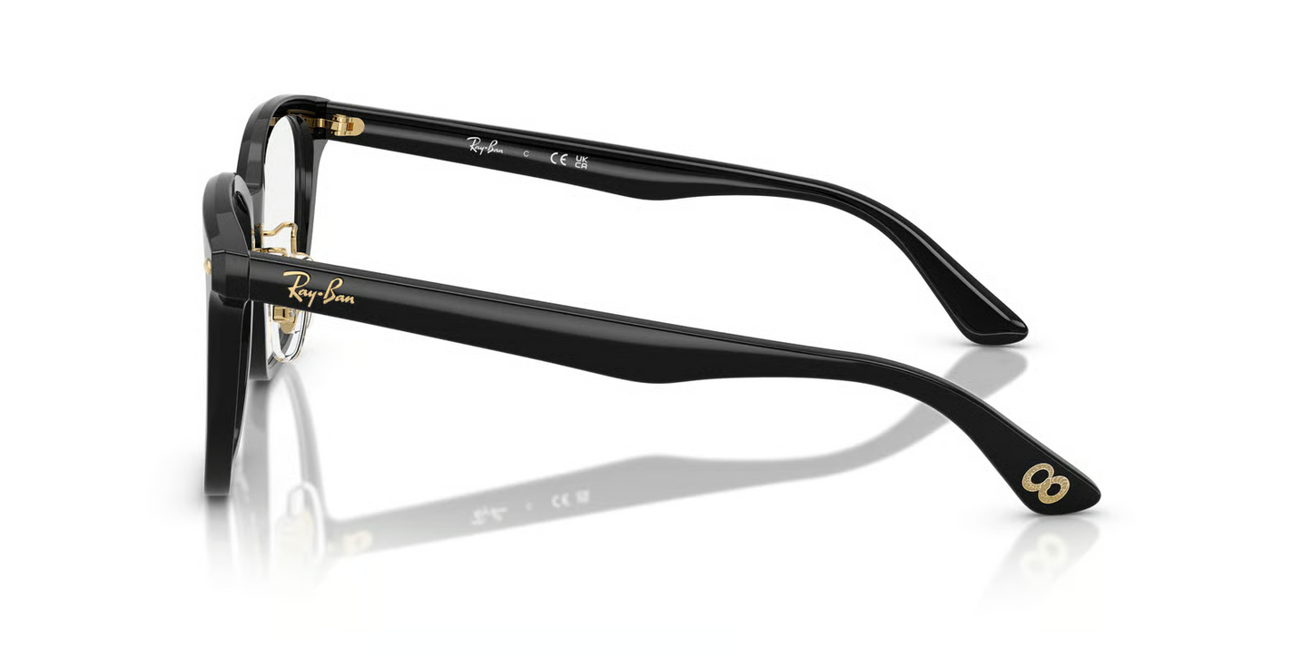 Ray-Ban Optical RX5425D Eyeglasses