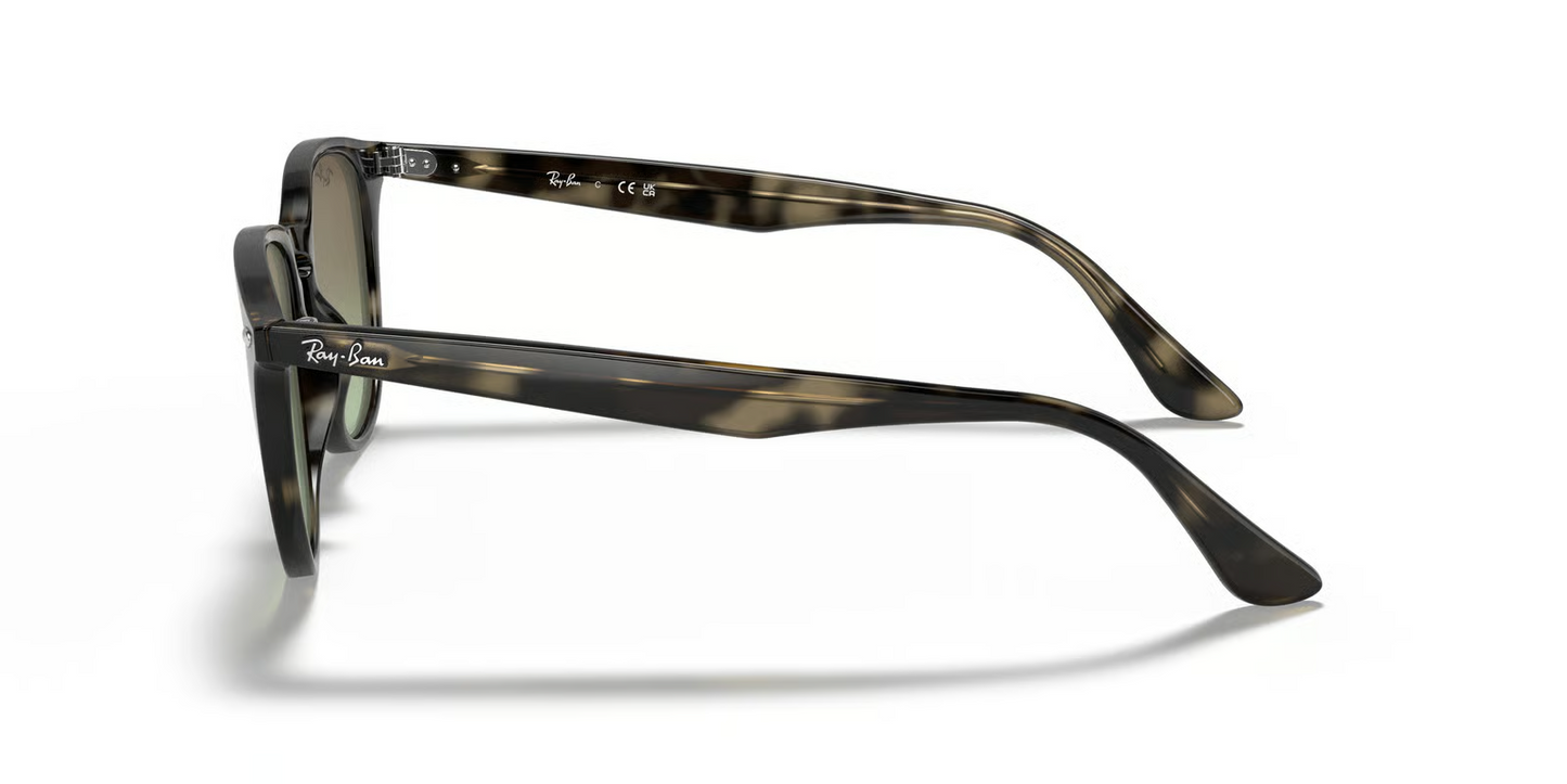 Ray-Ban RB4259 Sunglasses