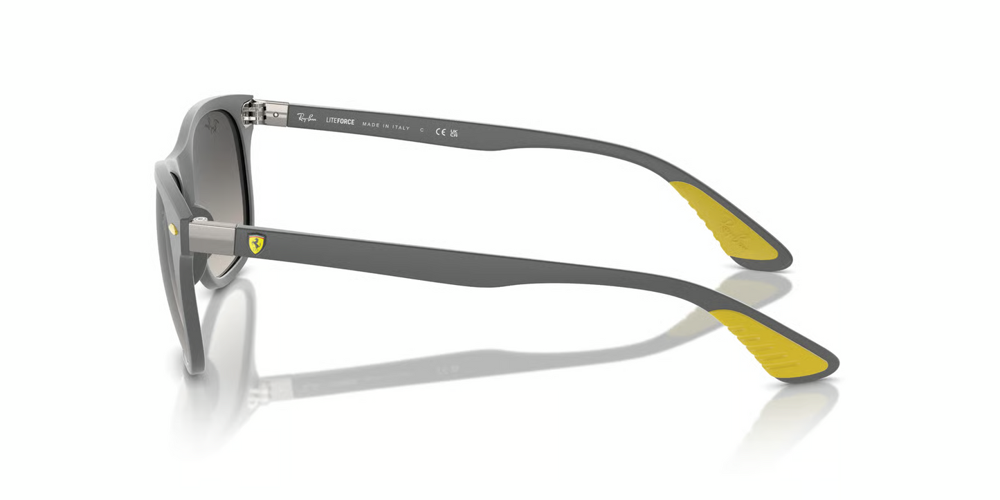 Ray-Ban RB4607M Sunglasses