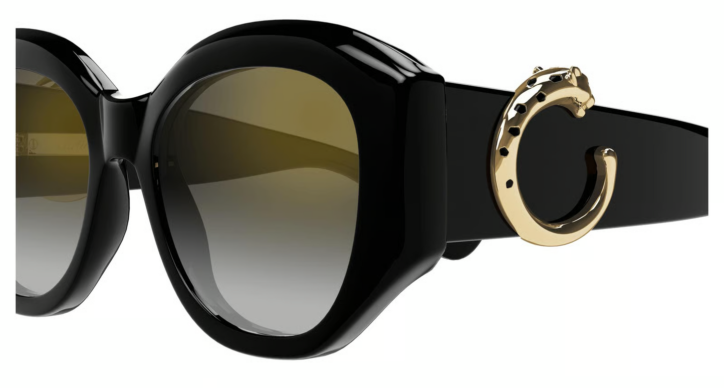 Cartier CT0502S Sunglasses