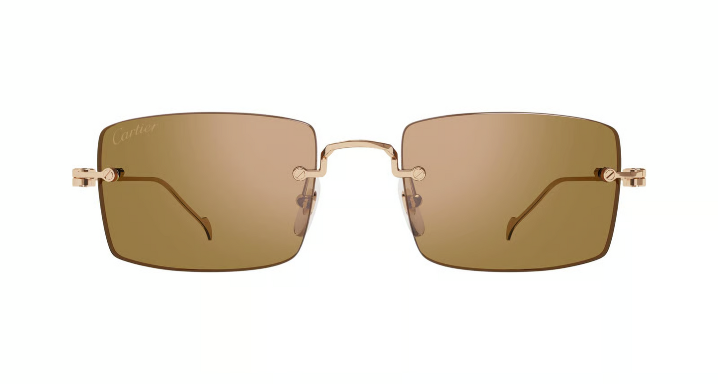 Cartier CT0367S Sunglasses
