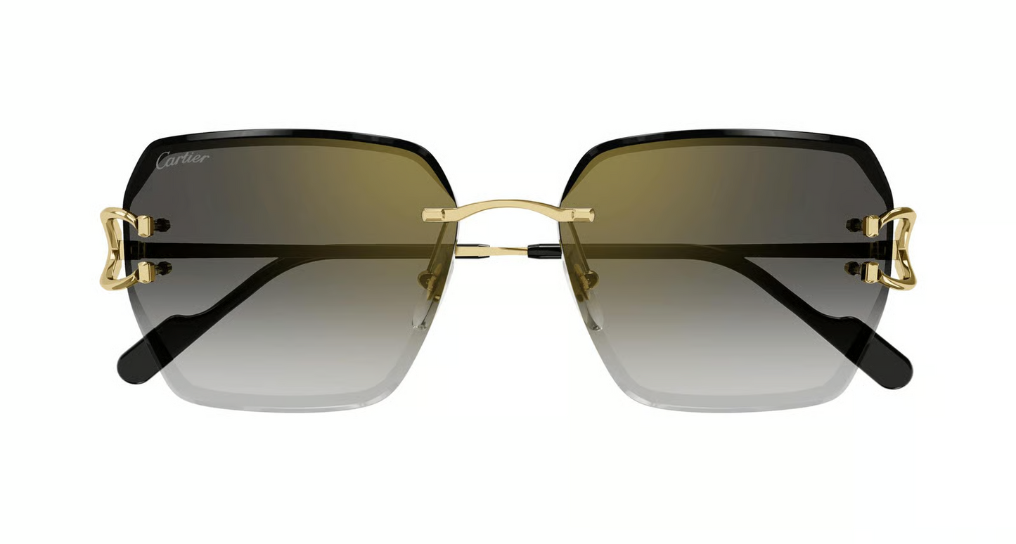 Cartier CT0466S Sunglasses