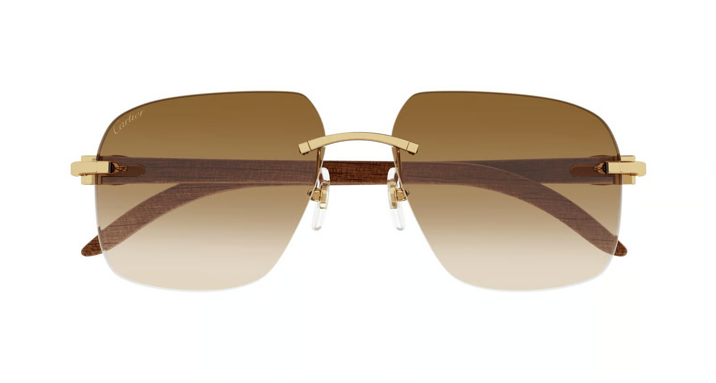 Cartier CT0041RS Sunglasses
