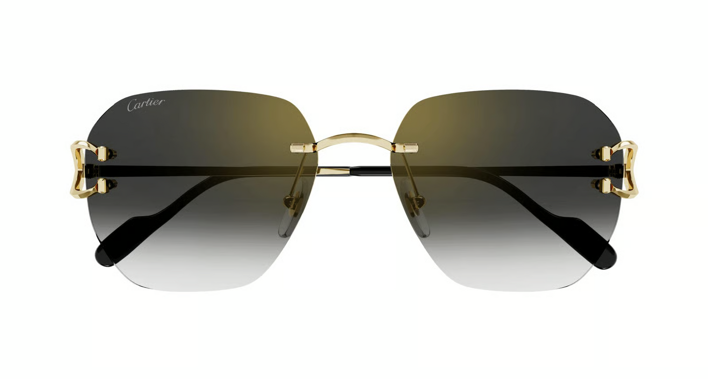 Cartier CT0394S Sunglasses