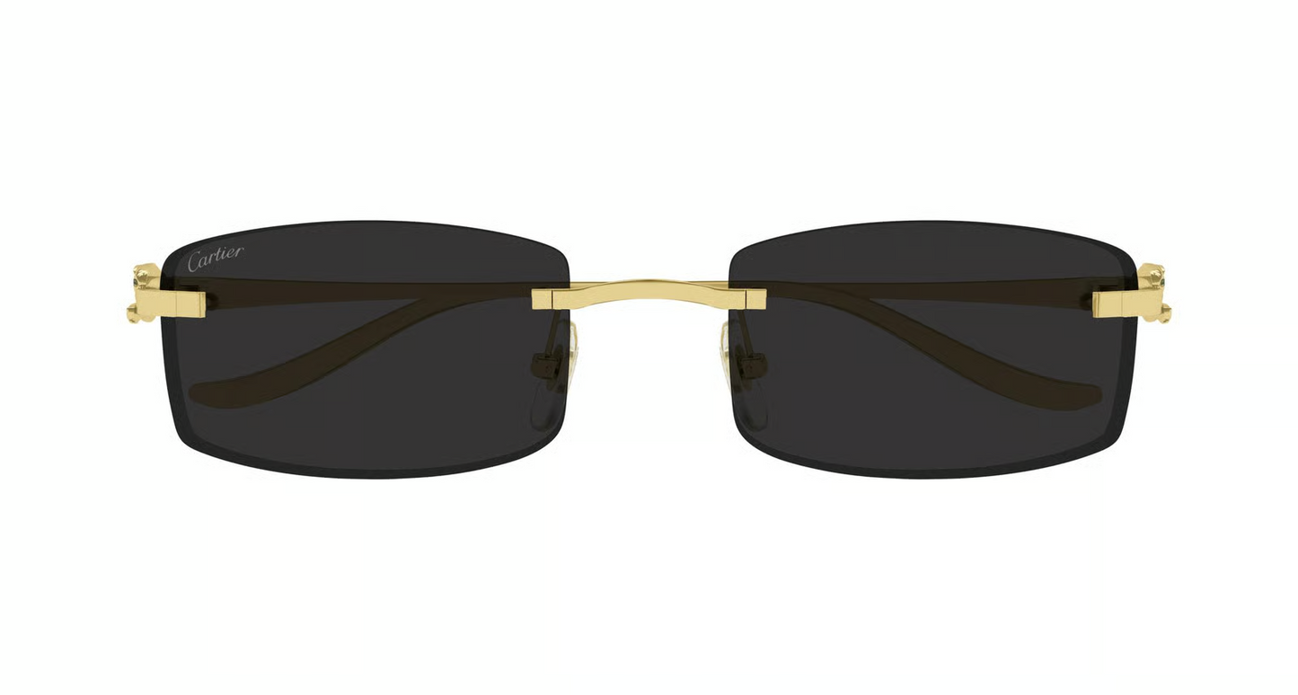 Cartier CT0552S Sunglasses