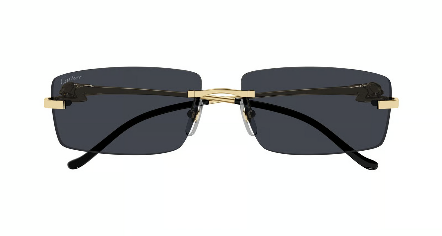 Cartier CT0430S Sunglasses