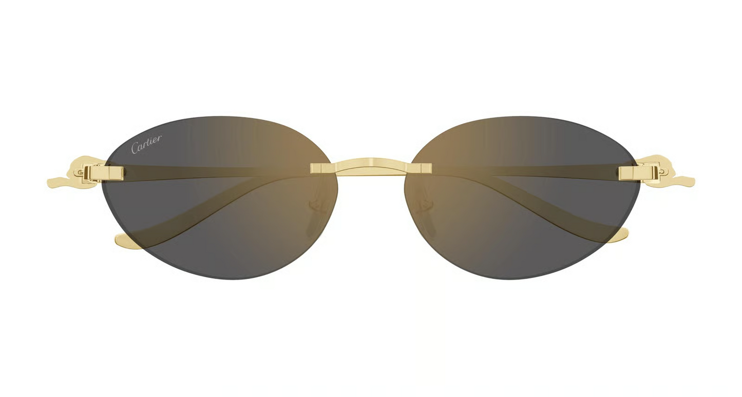 Cartier CT0504S Sunglasses