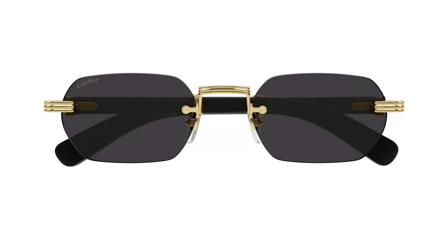 Cartier CT0362S Sunglasses