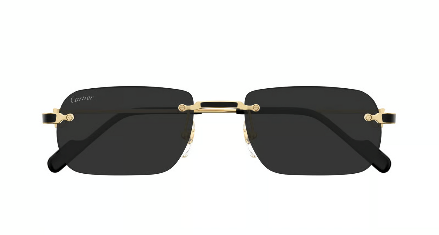 Cartier CT0498S Sunglasses