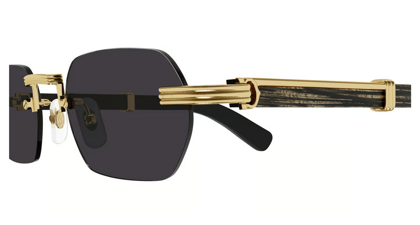 Cartier CT0362S Sunglasses