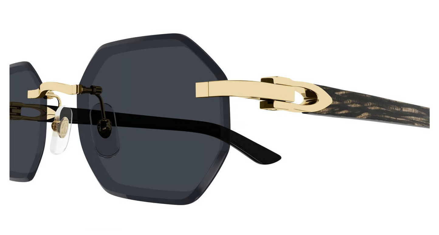 Cartier CT0439S Sunglasses