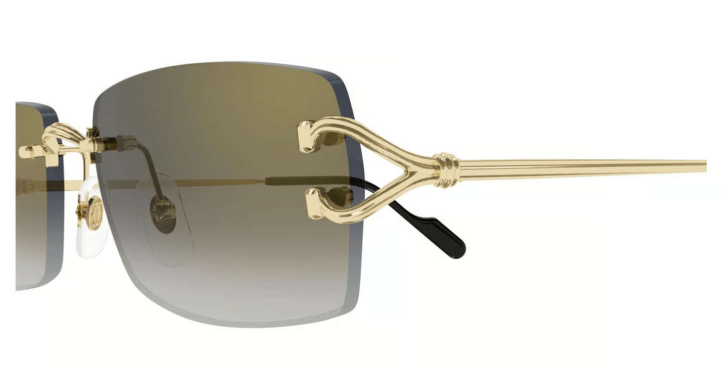 Cartier CT0550S Sunglasses