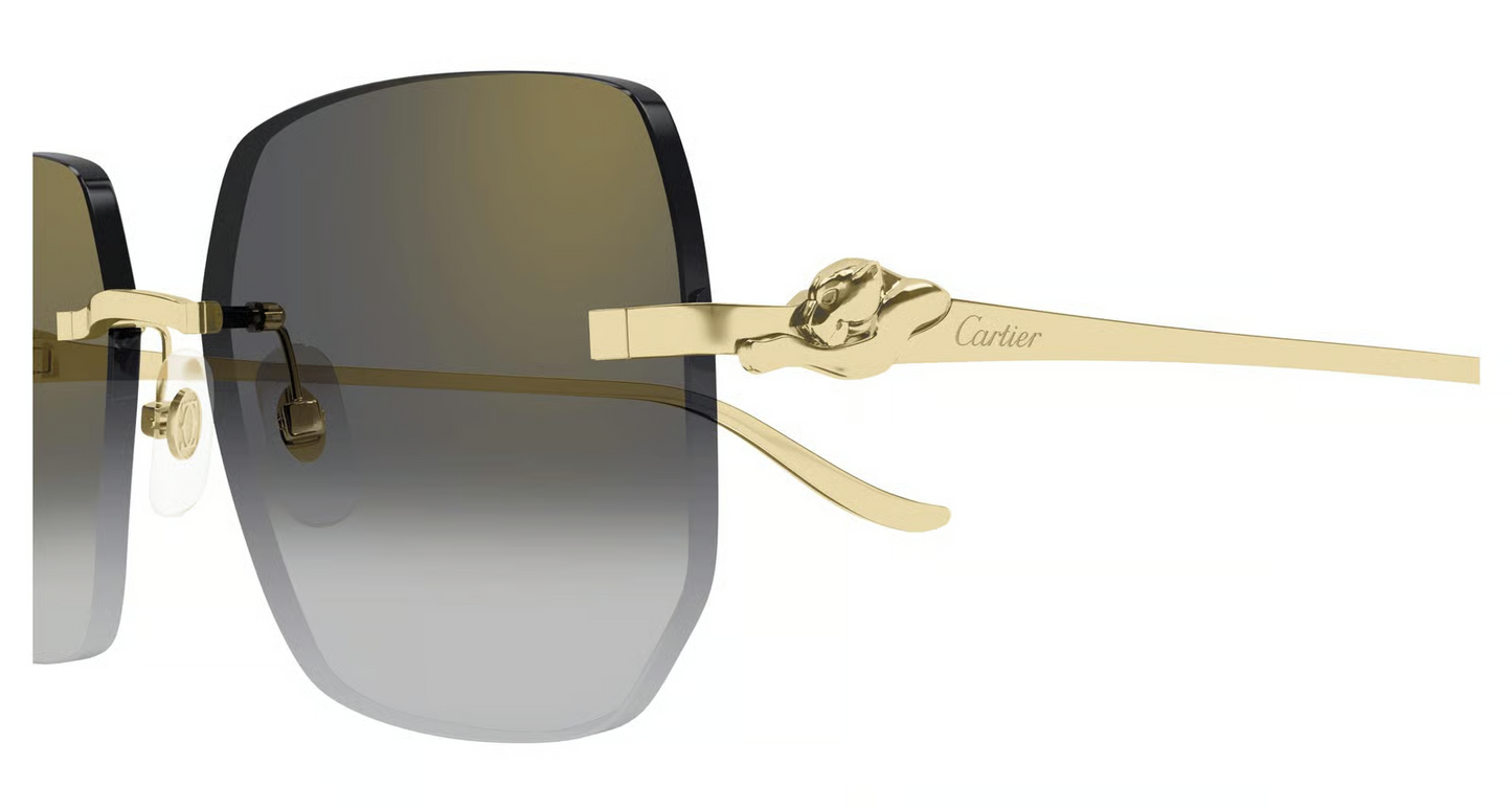 Cartier CT0549S Sunglasses
