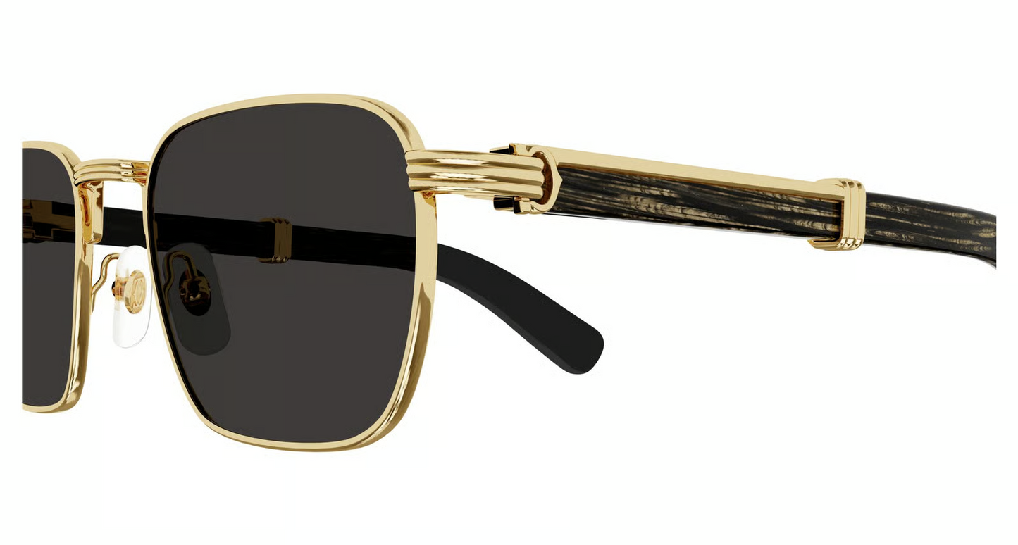 Cartier CT0363S Sunglasses