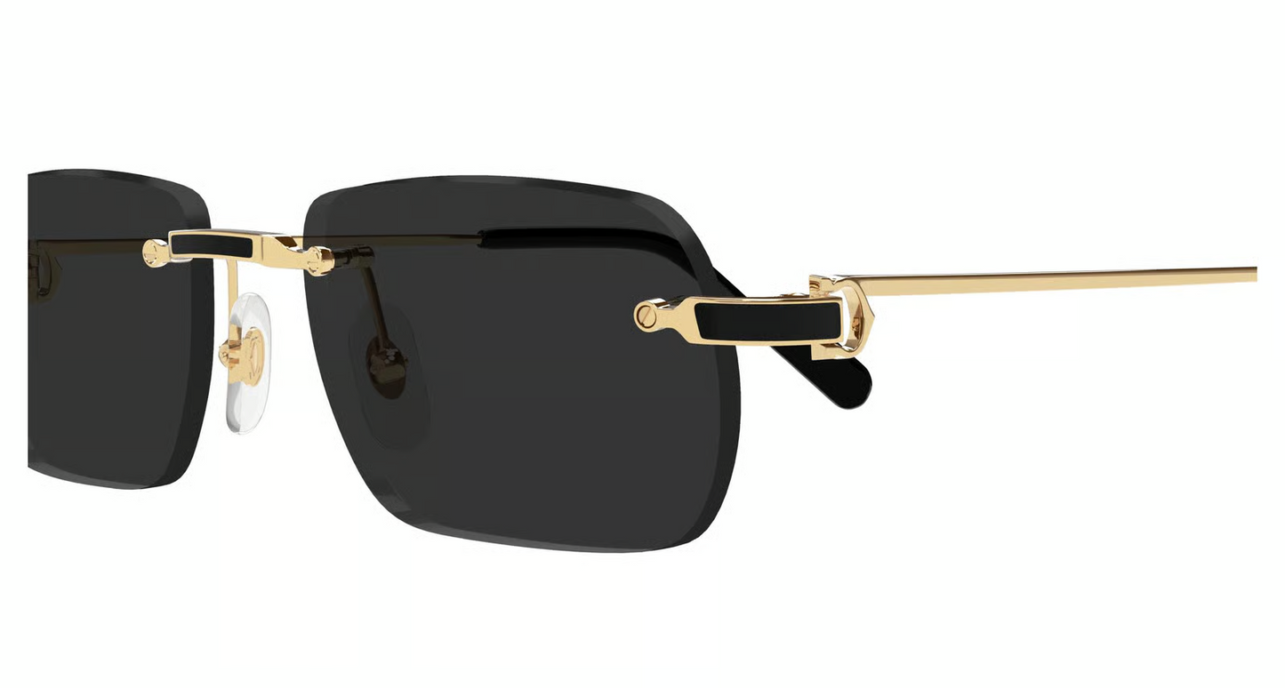 Cartier CT0498S Sunglasses