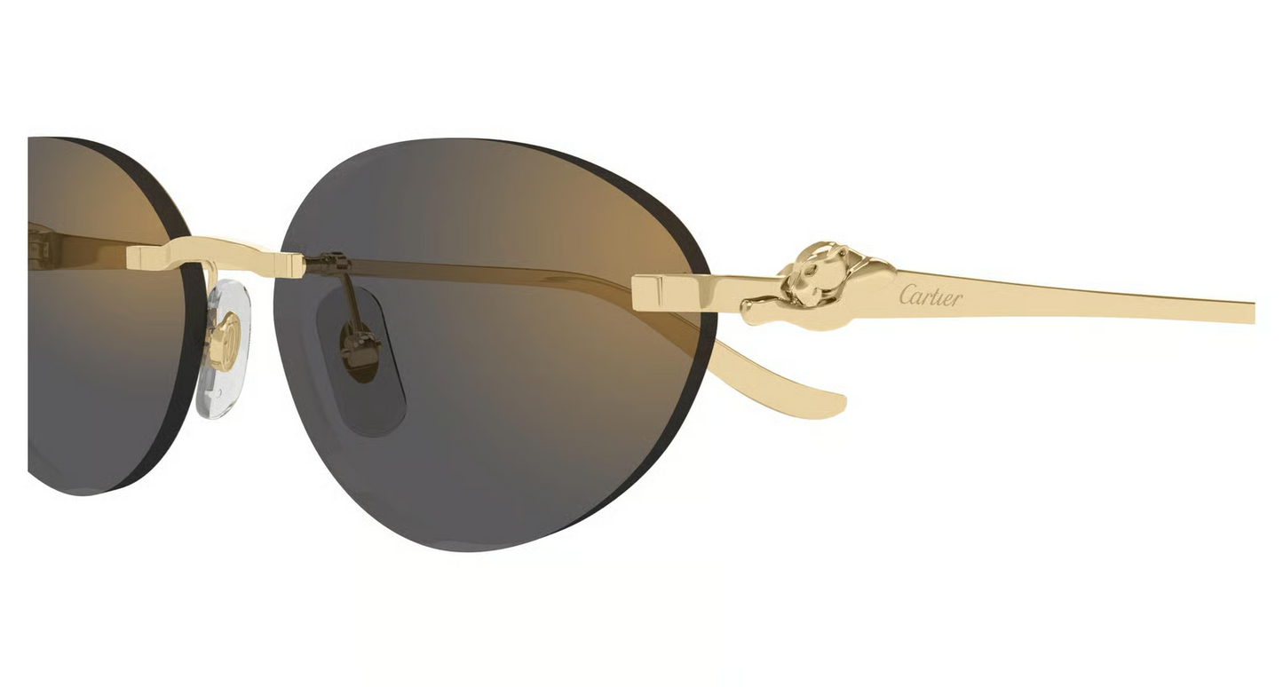Cartier CT0504S Sunglasses