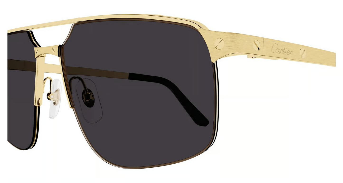 Cartier CT0385S Sunglasses