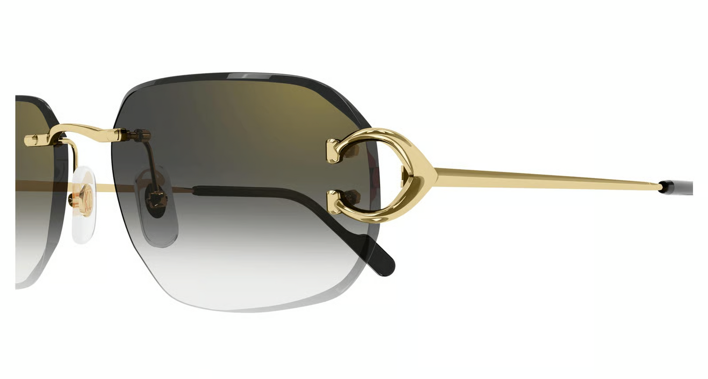 Cartier CT0468S Sunglasses