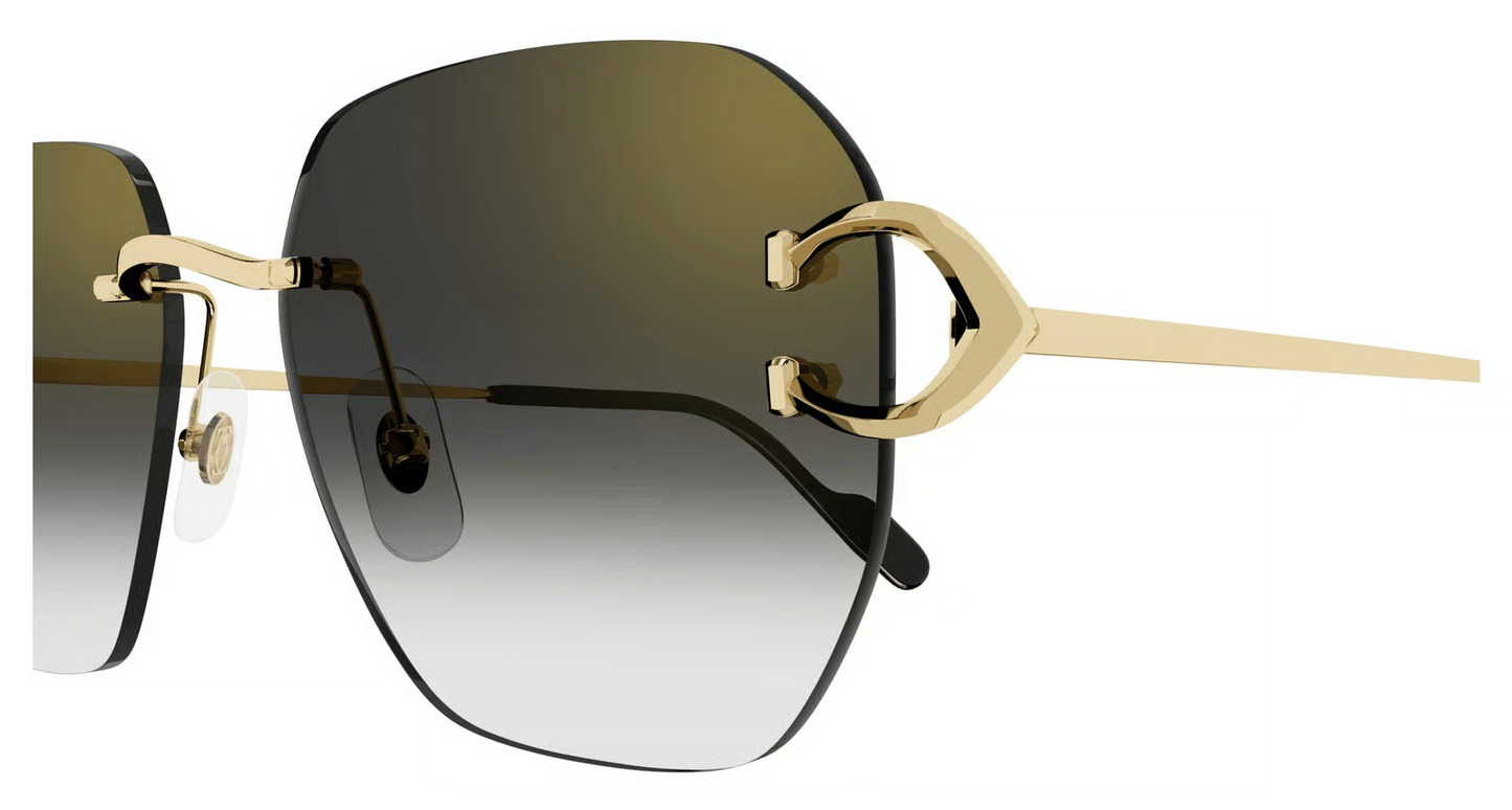 Cartier CT0394S Sunglasses