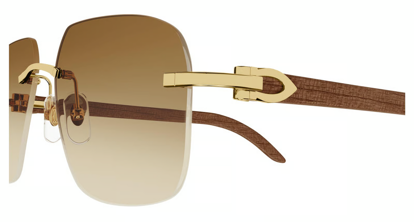 Cartier CT0041RS Sunglasses