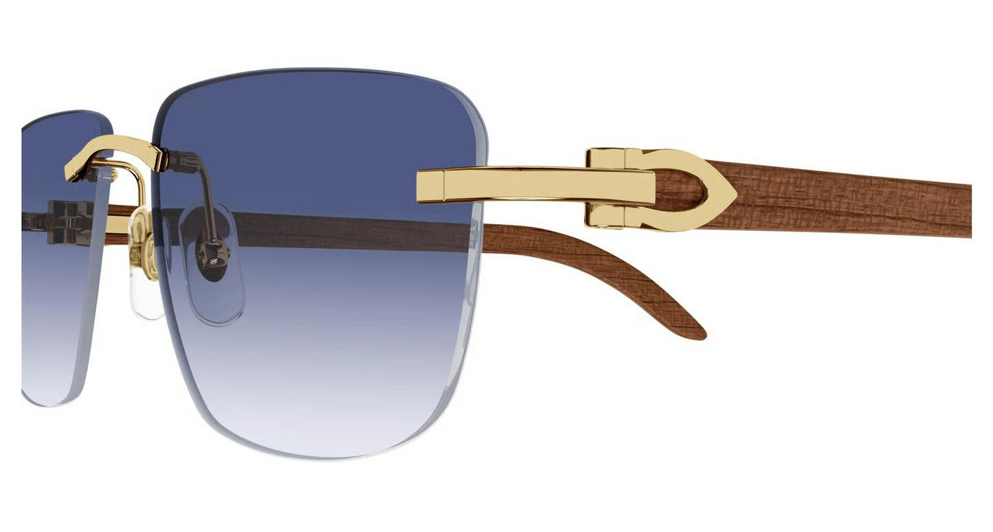 Cartier CT0040RS Sunglasses