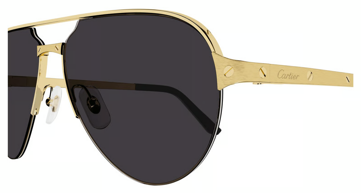 Cartier CT0386S Sunglasses