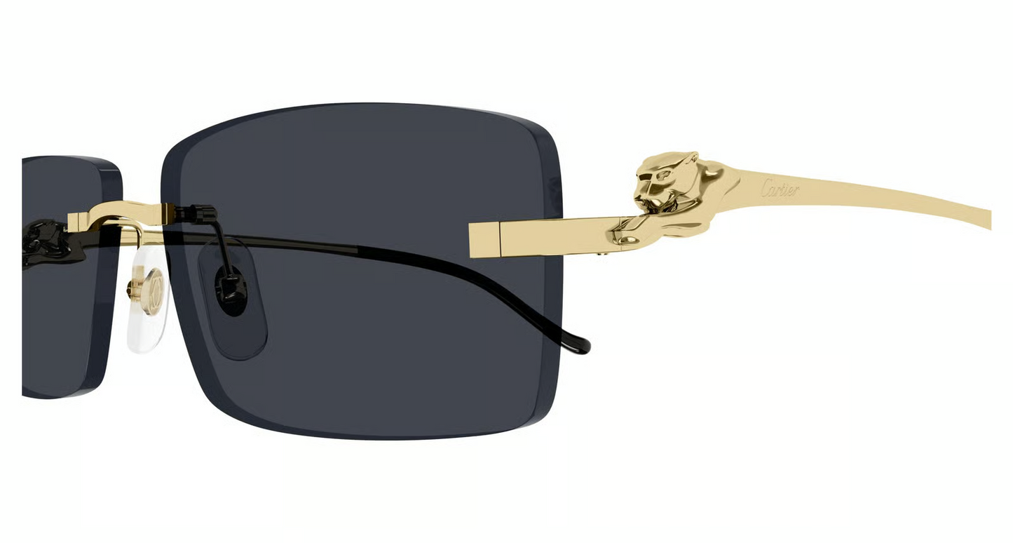 Cartier CT0430S Sunglasses