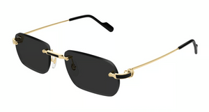 001 - Gold With Grey Lenses