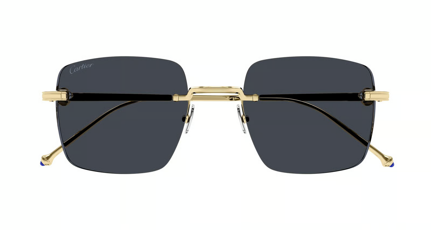Cartier CT0403S Sunglasses