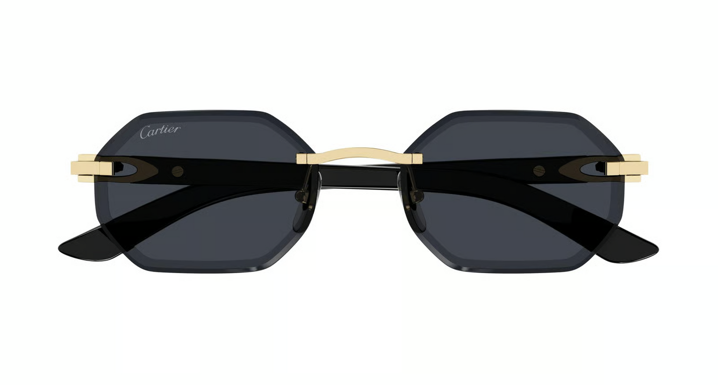 Cartier CT0439S Sunglasses