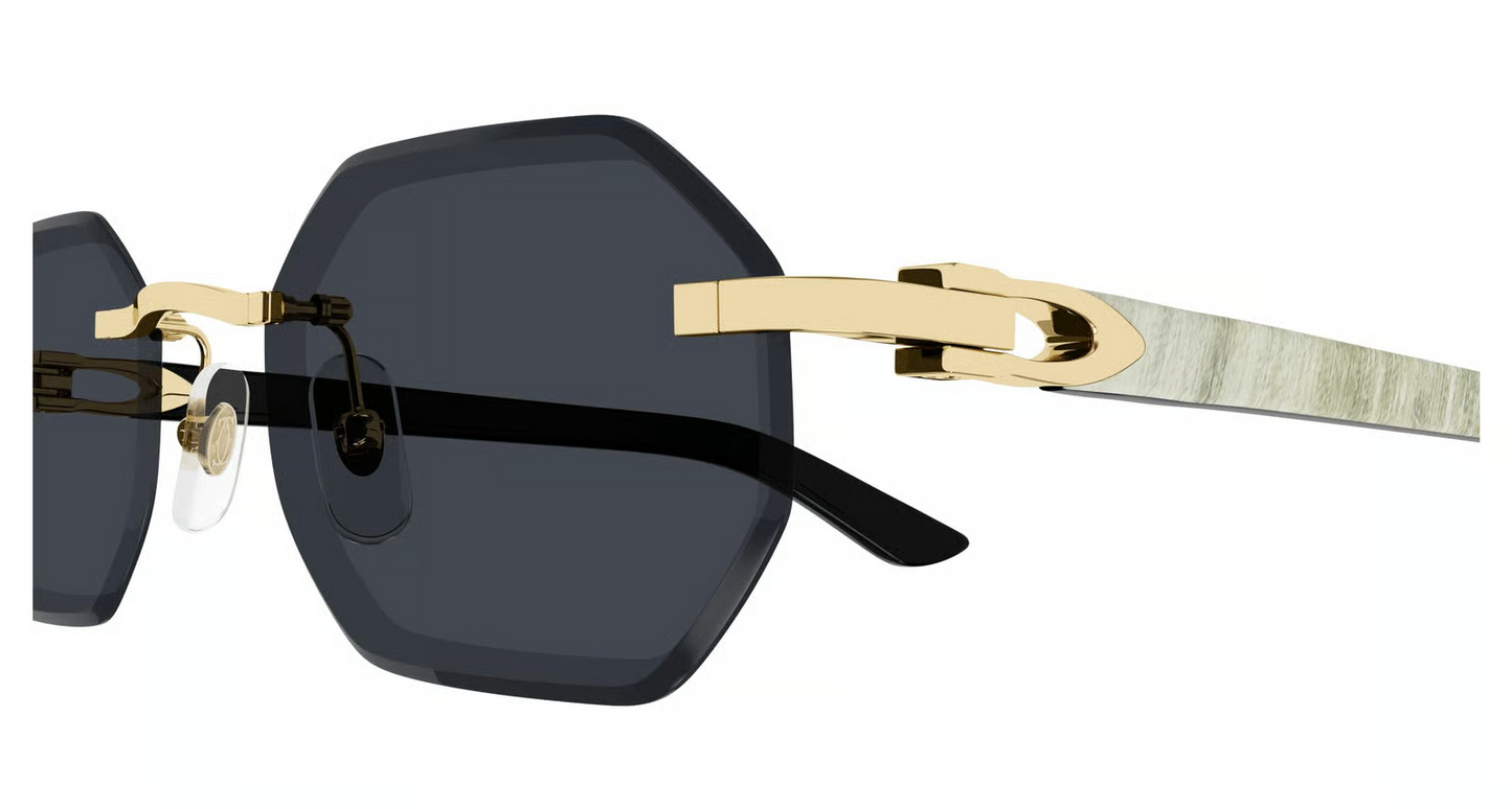 Cartier CT0439S Sunglasses