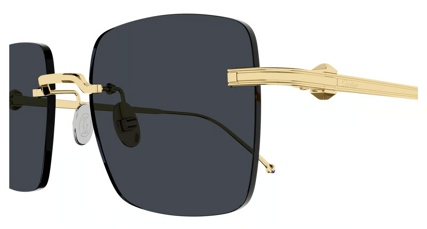 Cartier CT0403S Sunglasses