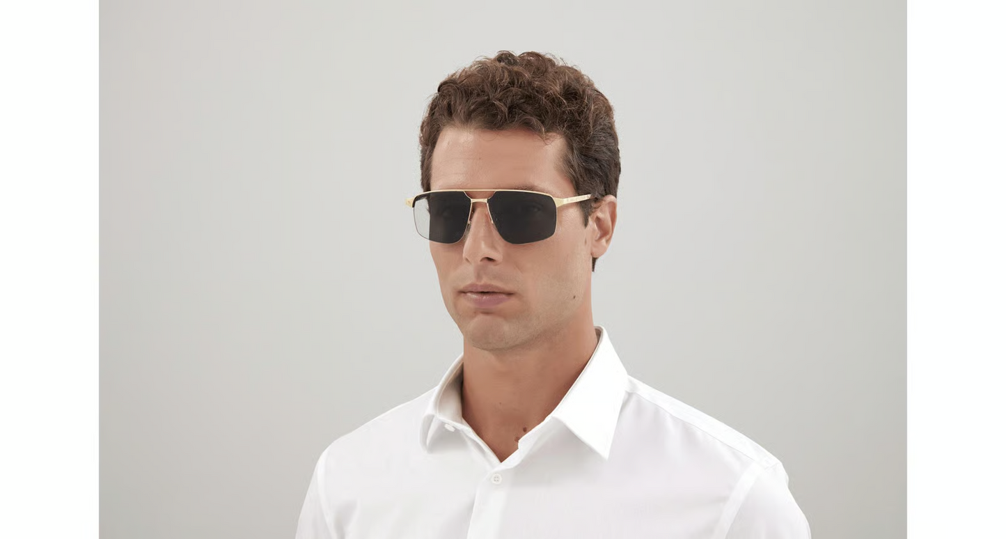 Cartier CT0385S Sunglasses