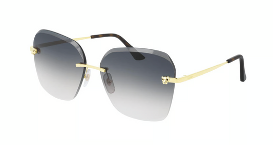 Cartier CT0147S Sunglasses