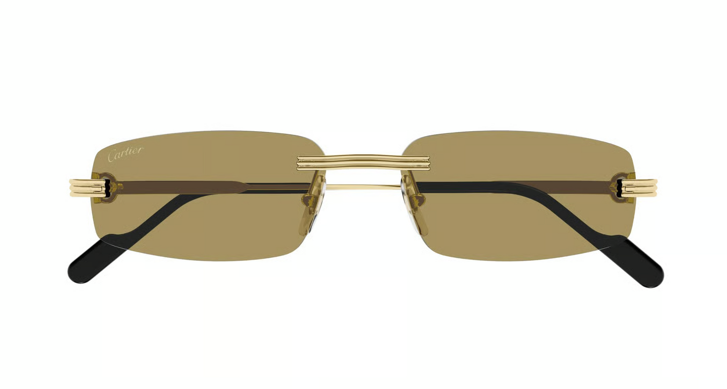 Cartier CT0535S Sunglasses