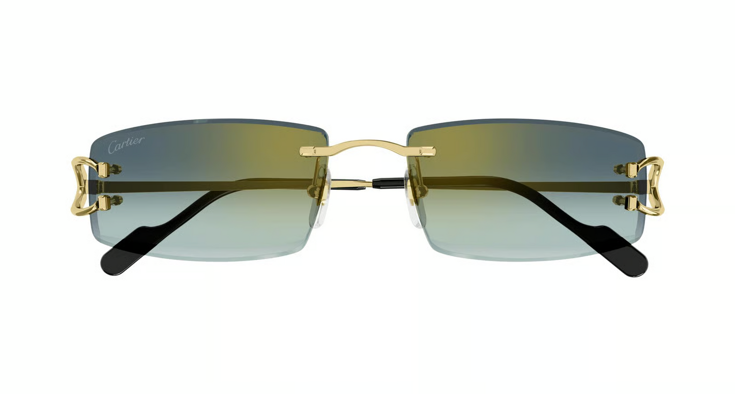 Cartier CT0465S Sunglasses