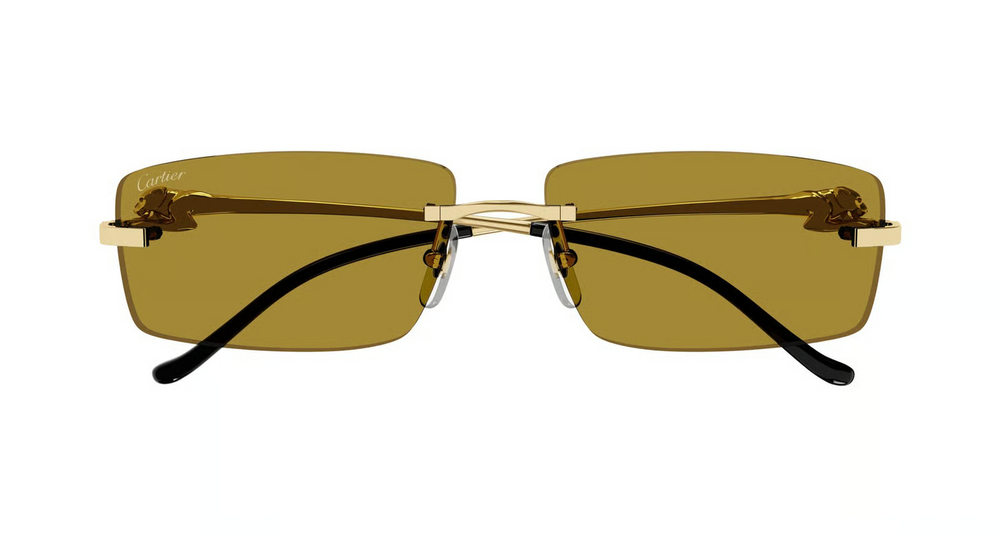 Cartier CT0430S Sunglasses